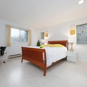 Willow Street Homestay 民宿